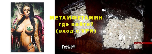 мдпв Ельня