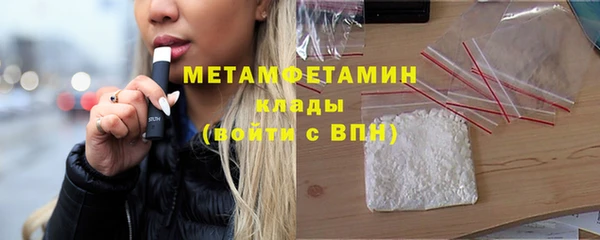 мдпв Ельня