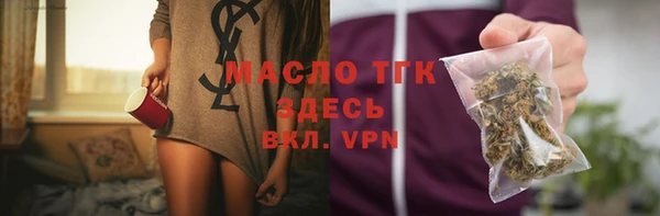мдпв Ельня