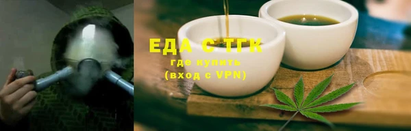 мдпв Ельня