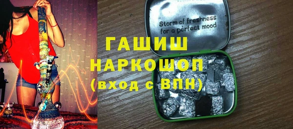 мдпв Ельня