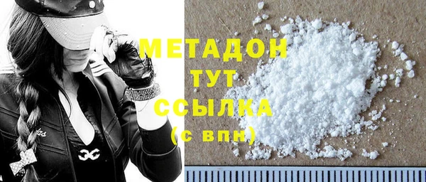 мдпв Ельня
