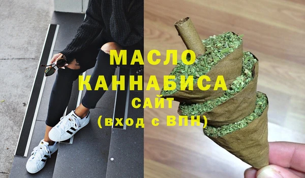мдпв Ельня
