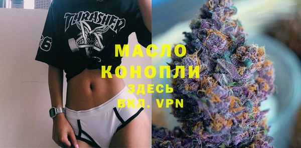 мдпв Ельня