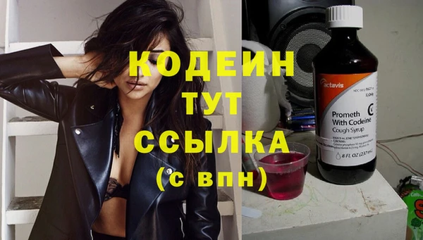 мдпв Ельня