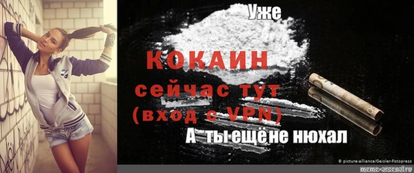 мдпв Ельня