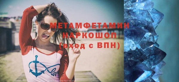 мдпв Ельня